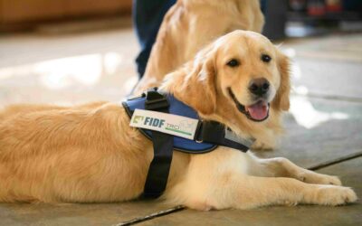 Canine Companionship for Israel Families Suffering Loss